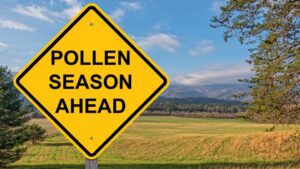 pollen season