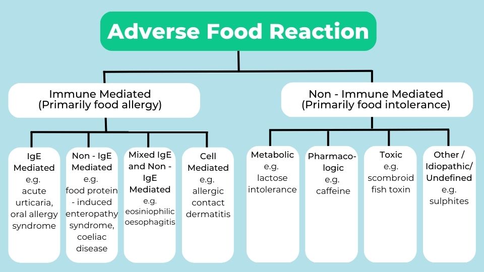 adverse food reaction diagram